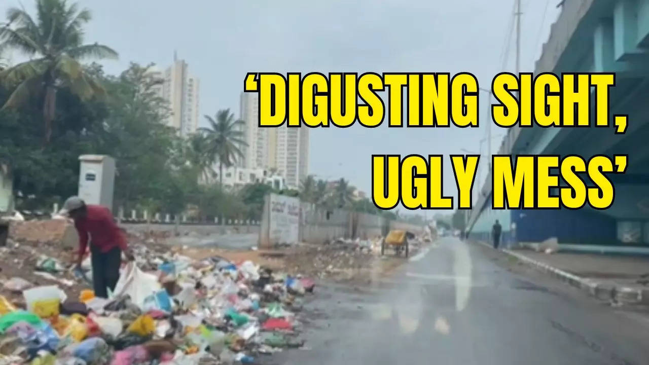 Bengaluru's 'Ugly Mess': Biocon Chairperson Frowns Upon Garbage-Cluttered ORR Stretch, Netizens React