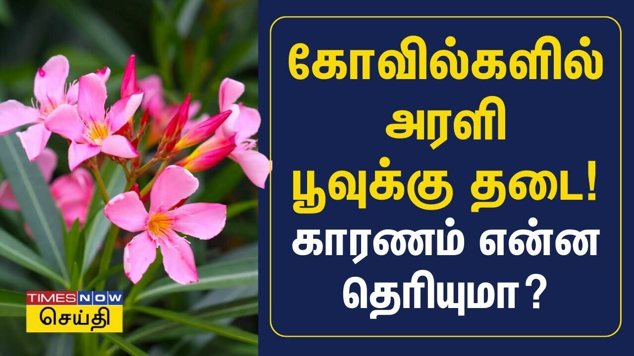  கோவில்களில் அரளிபூவுக்கு தடை! - காரணம் என்ன தெரியுமா? | Arali Poo | Oleander flower 