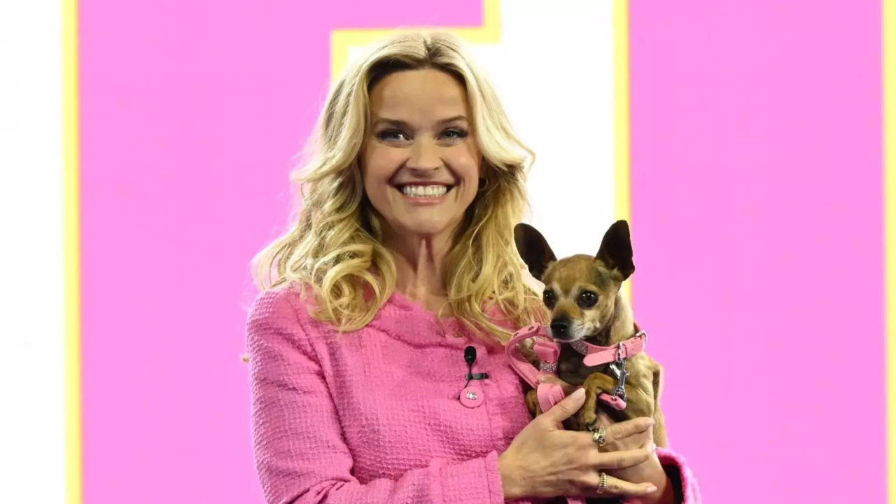 Legally Blonde's Going Back To High School! Amazon Orders Prequel Series, Reese Witherspoon To Produce