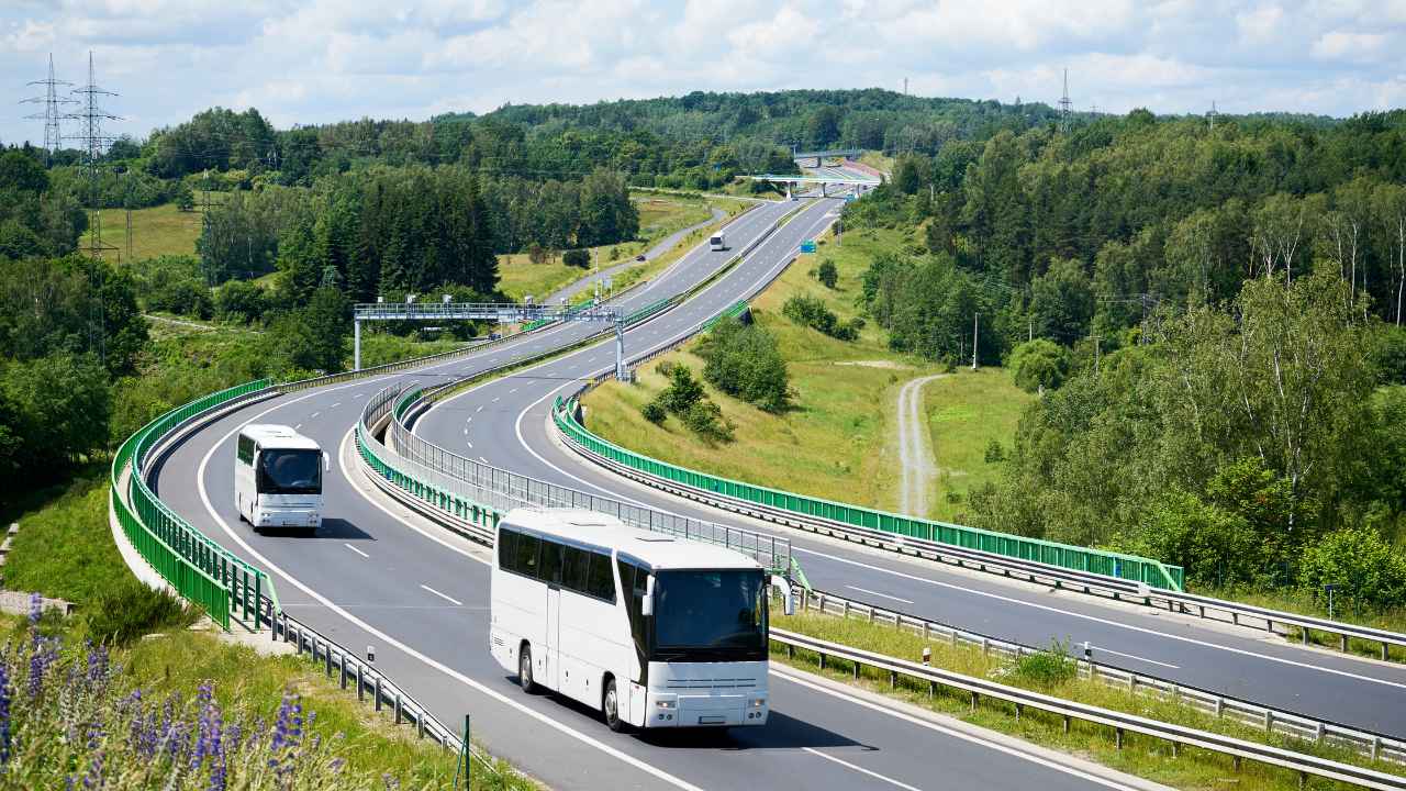 Exclusive buses for IPL match (Representational Image)