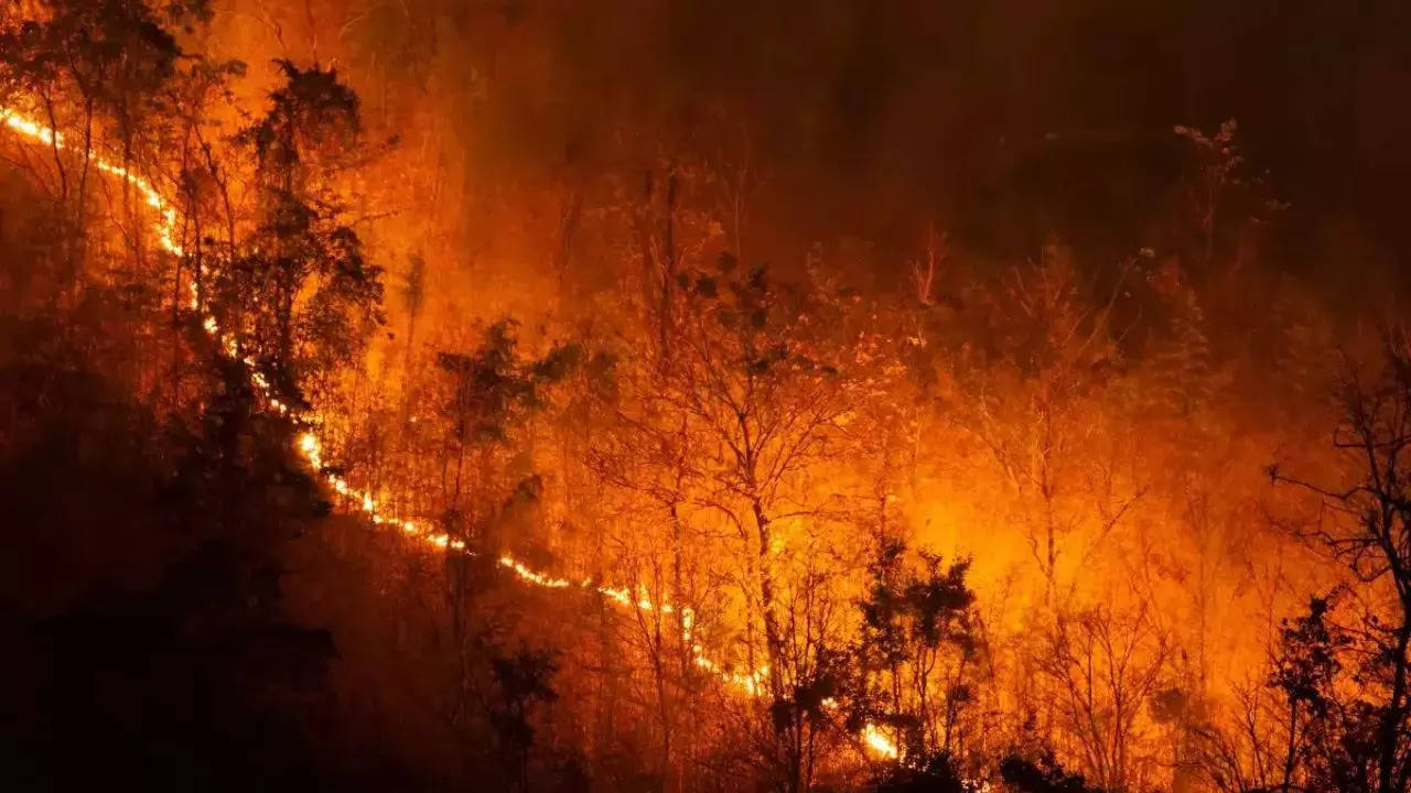 Uttarakhand Forest Fires