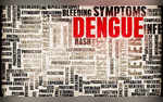 National Dengue Day 2024 Date Theme History And Significance Of The Day