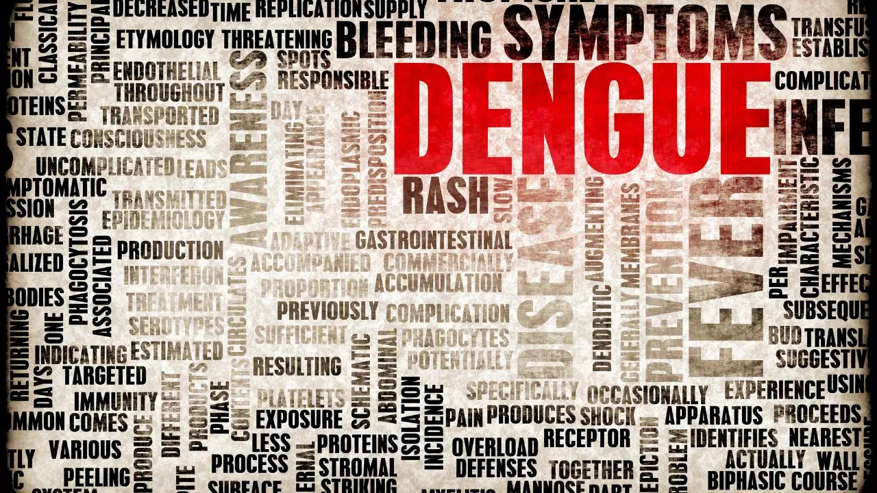 ?National Dengue Day