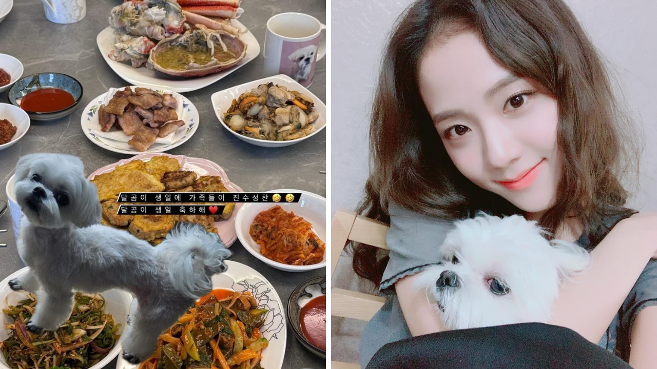 Blackpink's Jisoo Throws Massive Feast On Pet Dog Dalgom's 9th Birthday