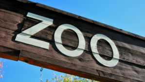 8 Best Zoos In India You Must Visit With Your Kids