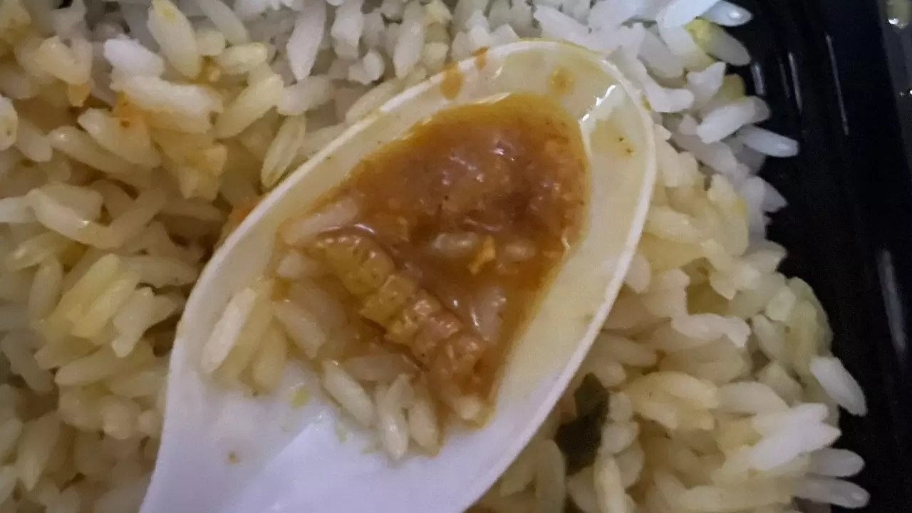 The insect was found in a Dal Chawal meal aboard Kashi Express. | Courtesy: Parvez Hashmi