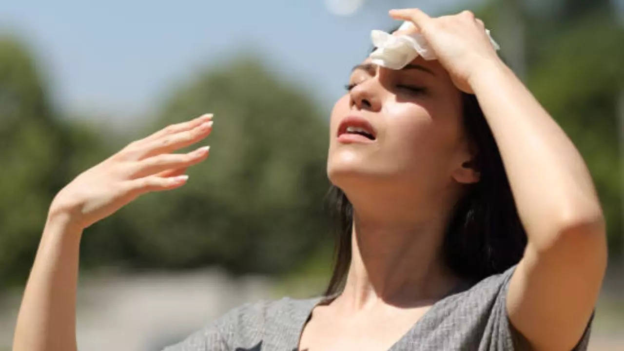 IMD Issues Heatwave Alert In Delhi - Expert Shares Tips To Keep Yourself Safe