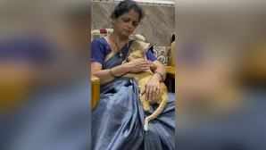 Video of Desi Mom Cuddling With Sleepy Cat Clocks 19 Million Views