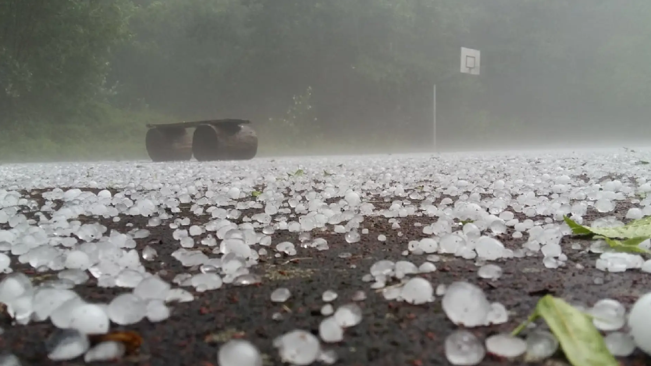 Maharashtra Weather Update