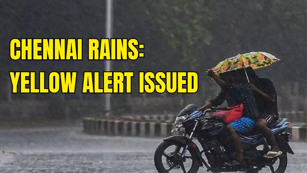 Chennai Weather News (representational)