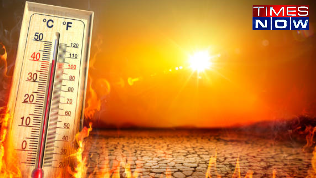 delhi's najafgarh scorches at 47.4 deg celsius, becomes india's hottest spot