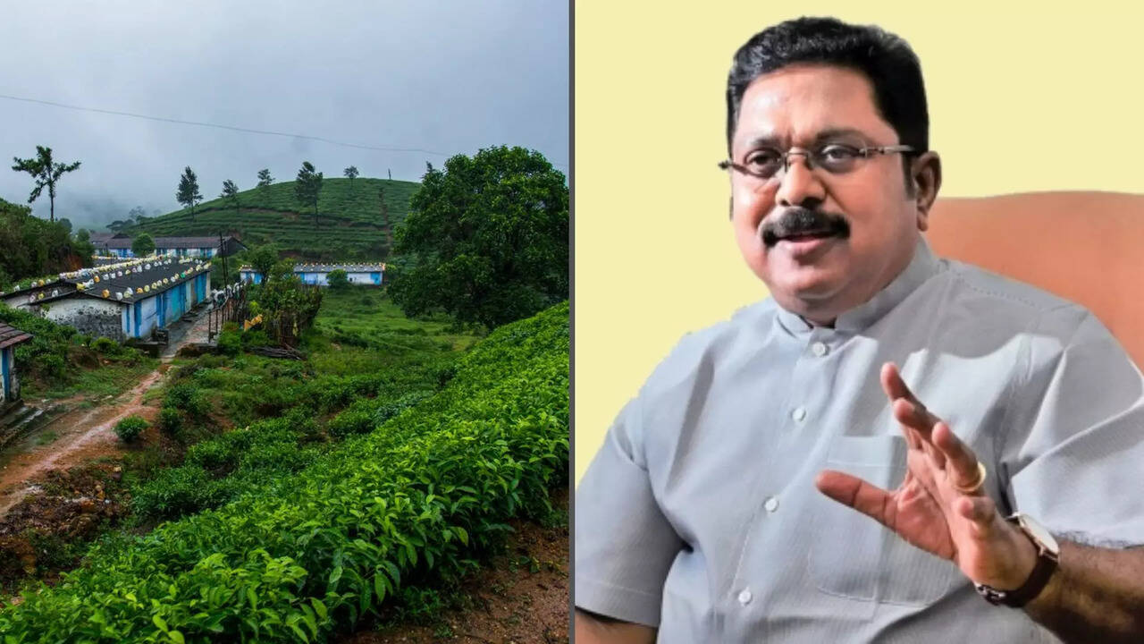  மாஞ்சோலை எஸ்டேட்டை தொழிலாளர்களின் நலனுக்காக தமிழக அரசே ஏற்று நடத்த டிடிவி தினகரன் கோரிக்கை..! 