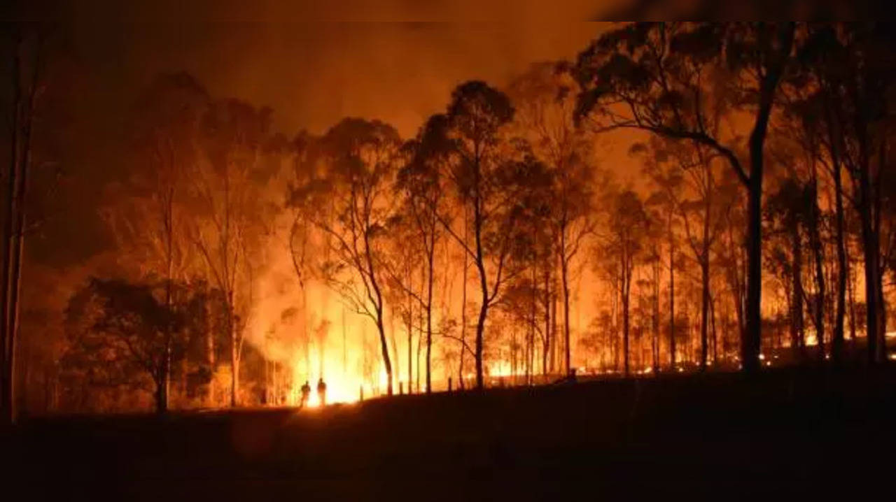 Cave Creek, Arizona Fire