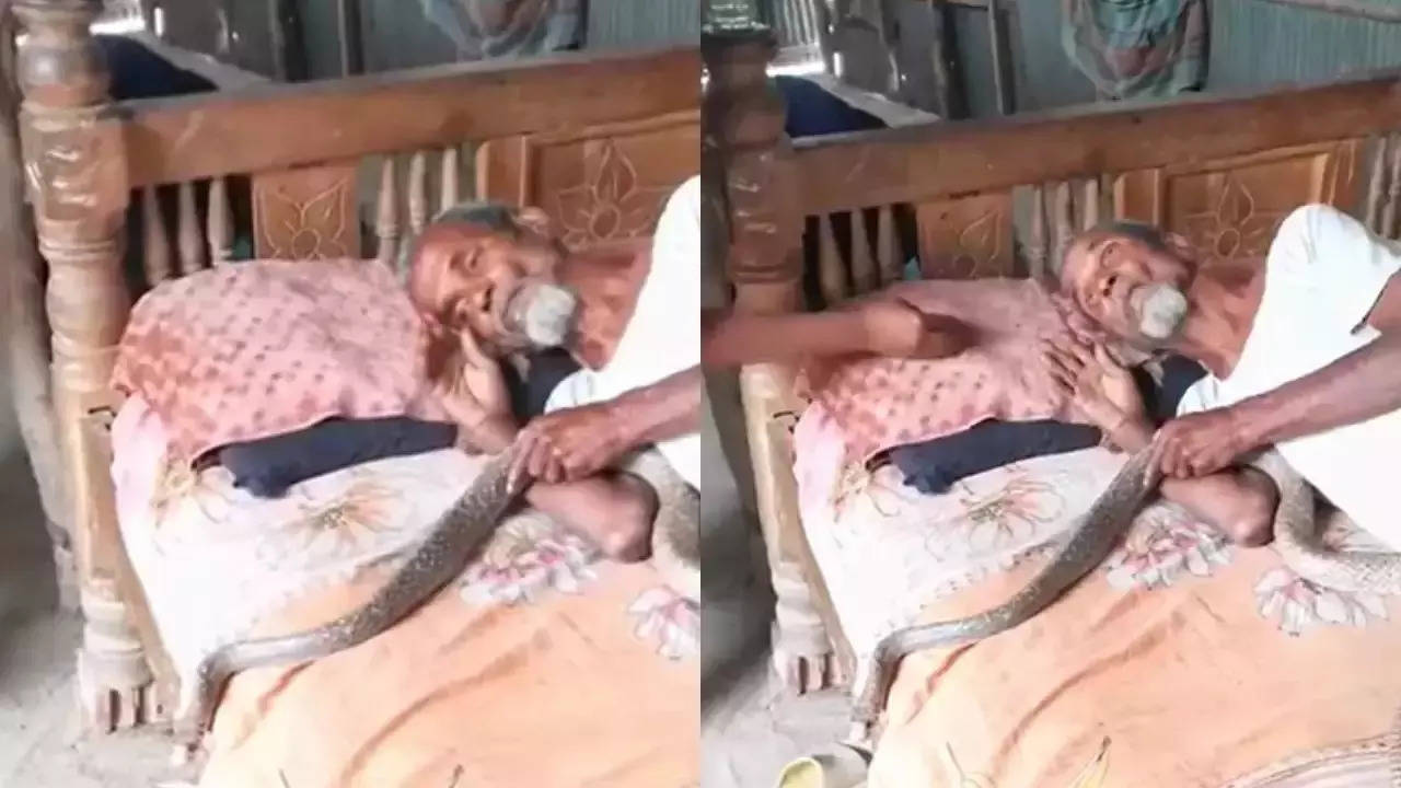 man sleeping with snake