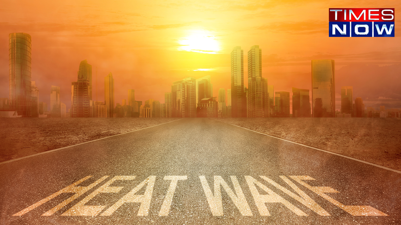 Heatwave alert across key cities (Representational Image)