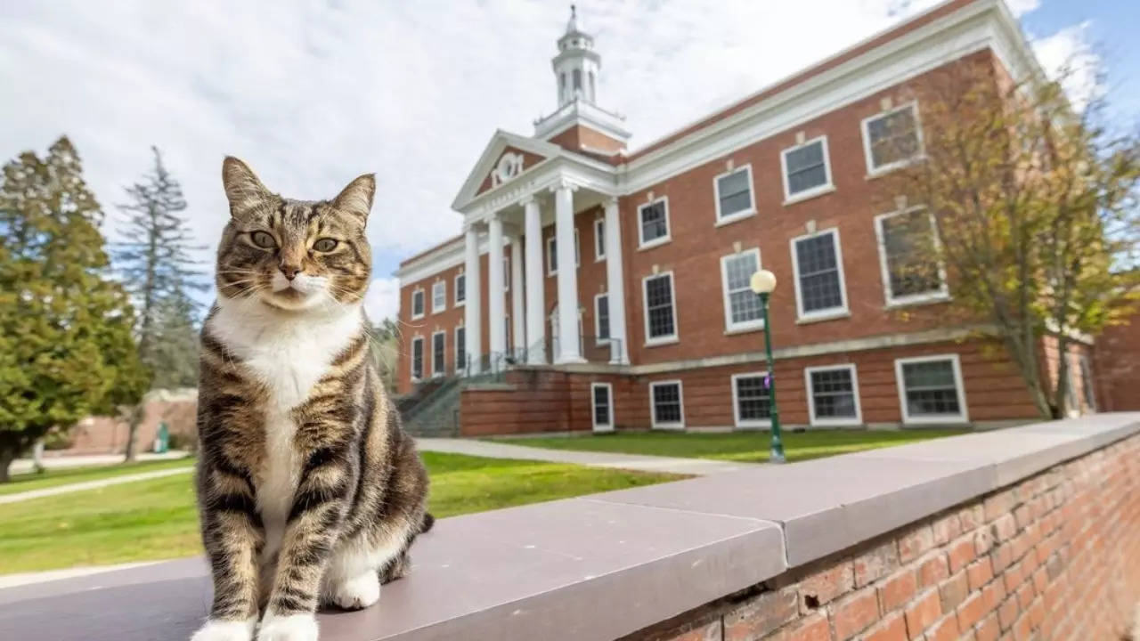 Max Dow has been frequenting the VTSU Castleton Campus for years.| Vermont State University