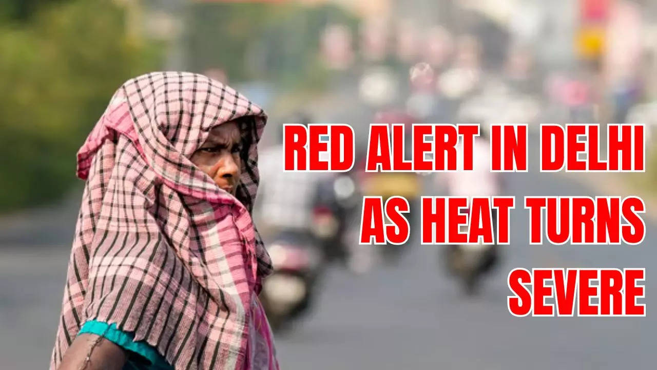 RED ALERT IN DELHI AS HEAT TURNS SEVERE