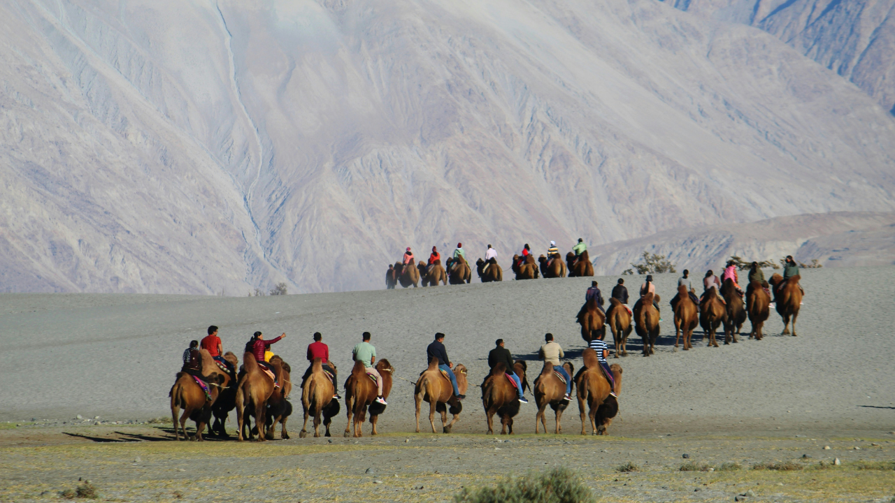 5 Beautiful Destinations To Visit In Nubra Valley To Escape The Summer Heat, Image Credit - Unsplash