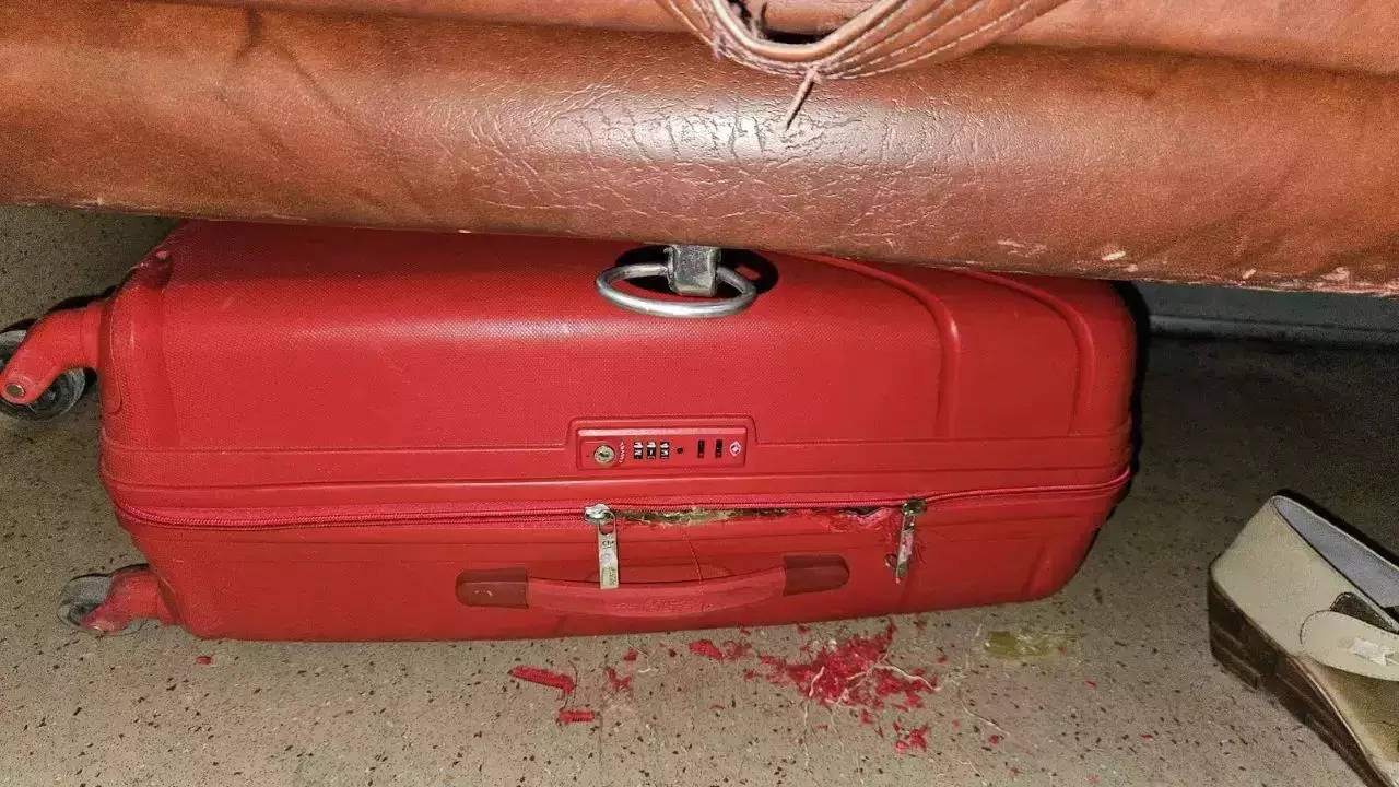 shocking jnaneswari express rats damaged passengers suitcases