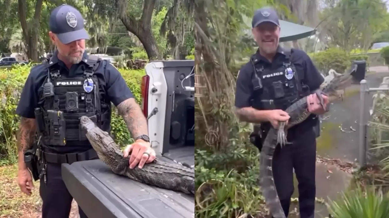 Officer Jeff Kopp with the alligator 'under arrest' before its release. | Jacksonville Sheriff