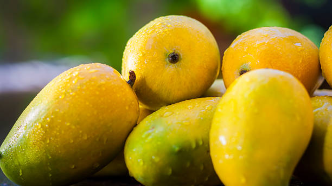 From Chausa To Malda: Check 8 States And Their Famous Mango Varieties