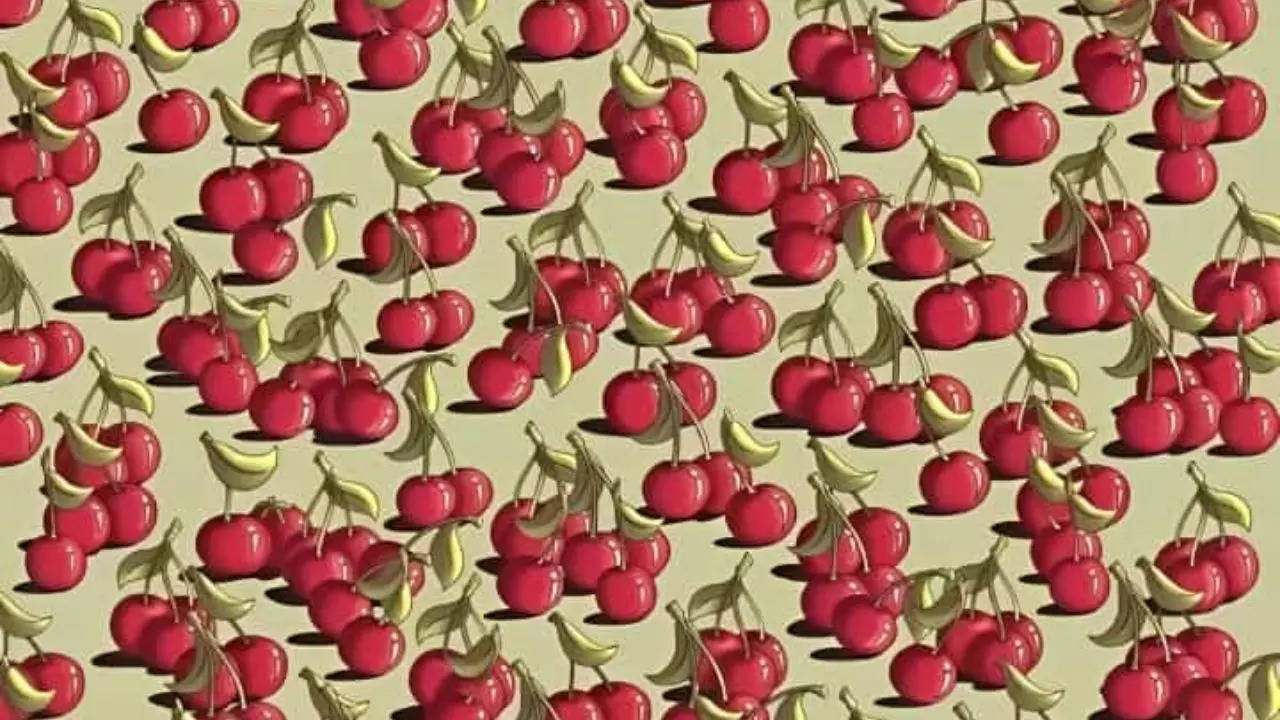 Find The Tomato among Cherries.