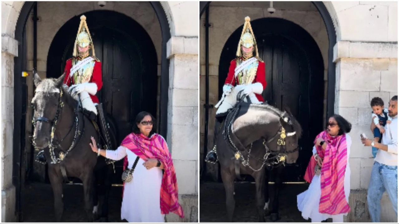 Watch: Lady Posing With King's Guard Horse Gets Bitten, Video Goes Viral