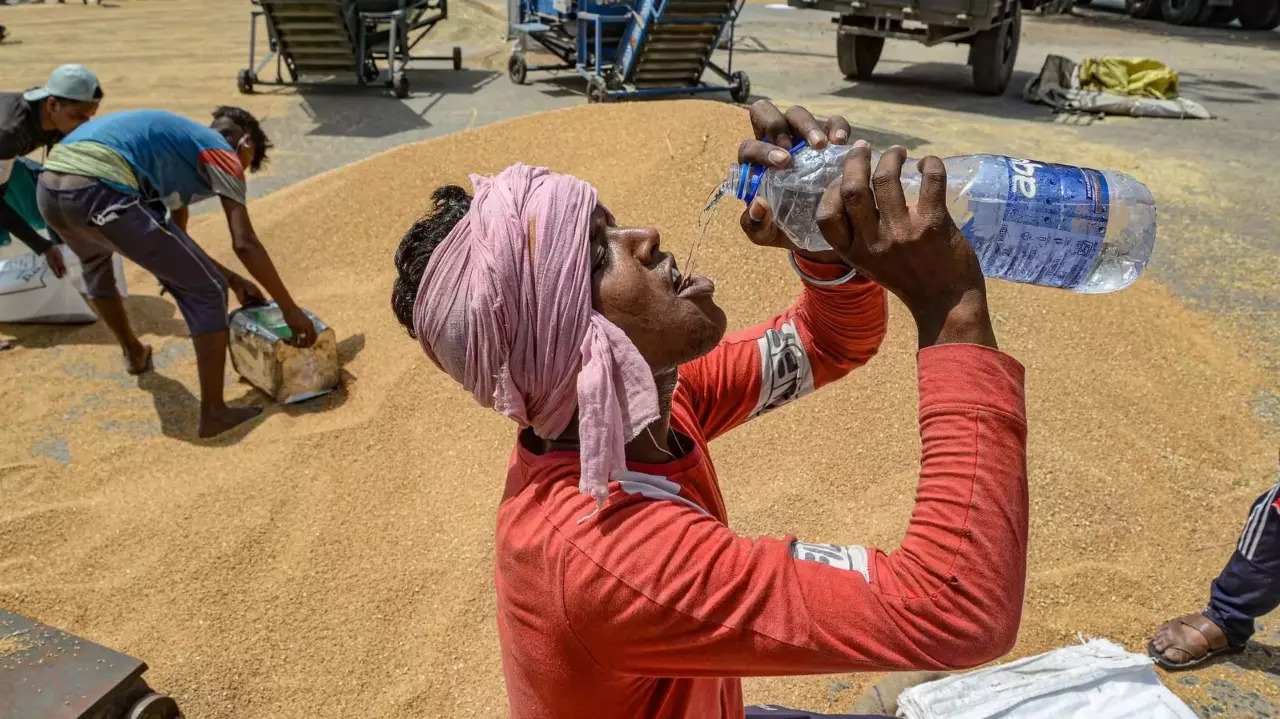 Delhi sees record temperature as mercury soars above 49 degrees Celsius in parts of city, IMD predicts relief tomorrow