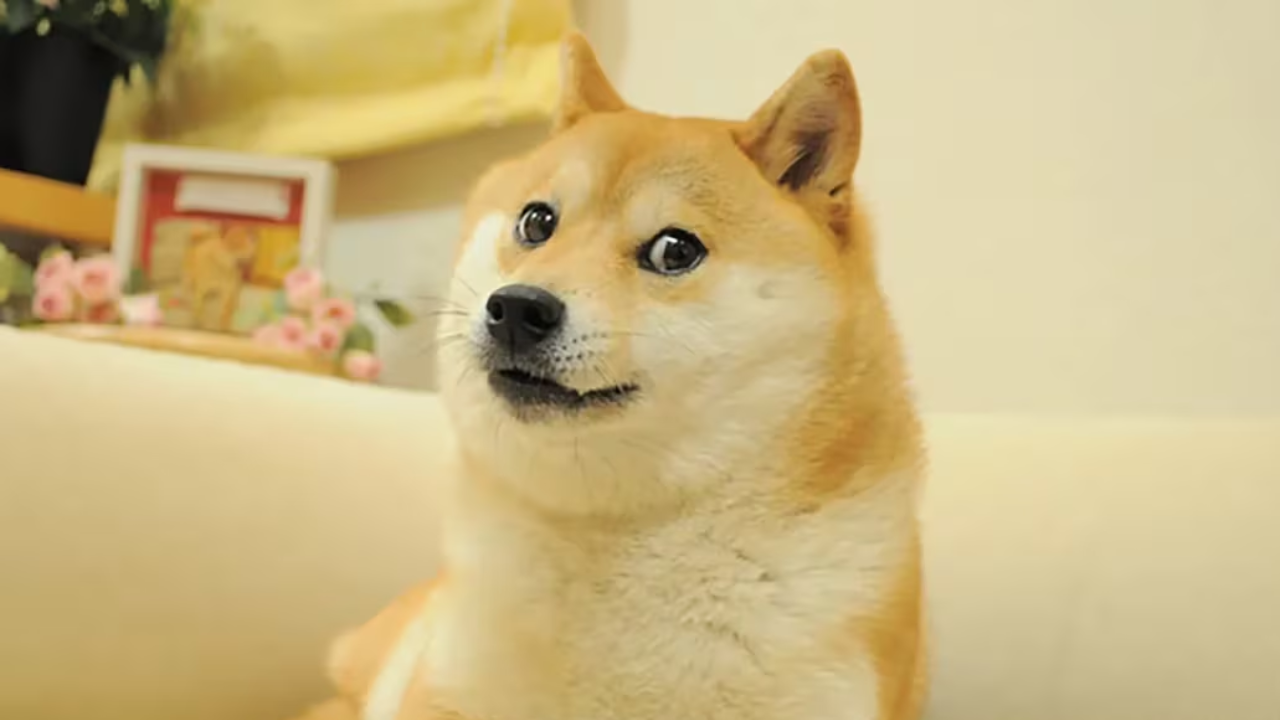 dogecoin