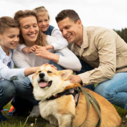 10 Dog Breeds That Will Make A Great Addition To Your Family