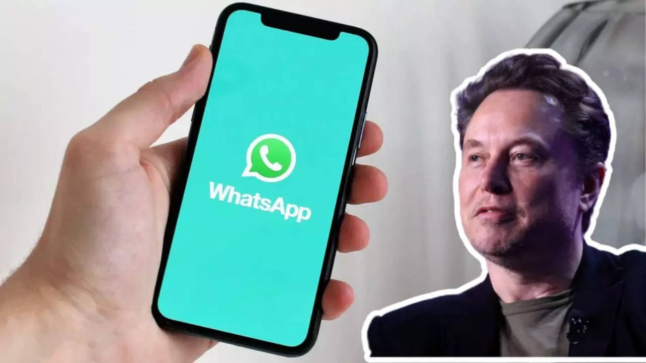 Elon Musk WhatsApp