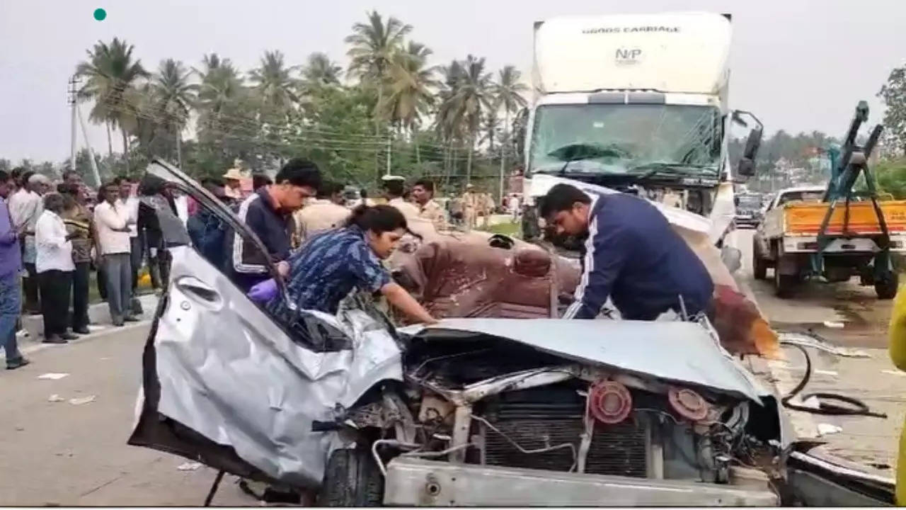 6 of family, on joy ride, killed as speeding truck hits them on karnataka highway