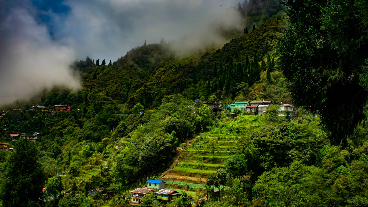 Hill Stations In West Bengal (Credit-Unsplash)