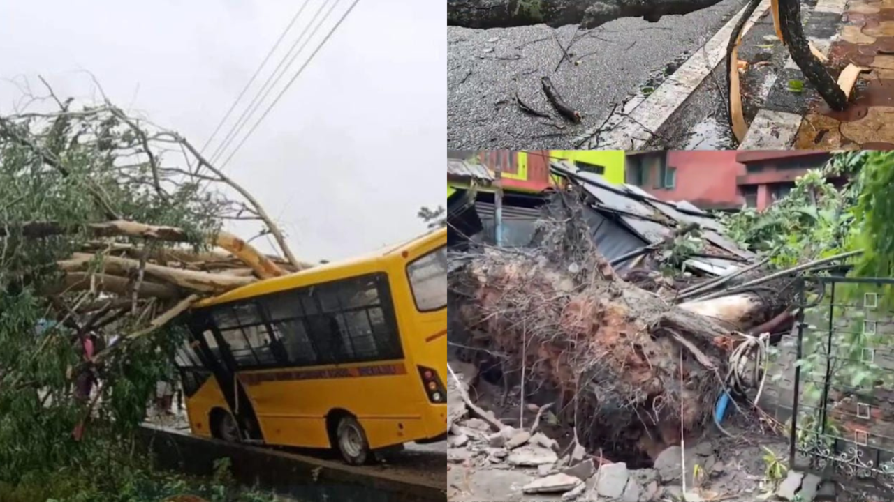 Assam Cyclone: 7 Students Injured As Tree Falls On Bus, Residents Asked To Take Precaution | VIDEO