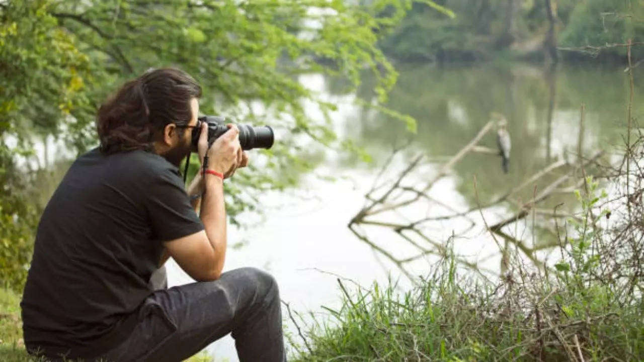 Birdwatching