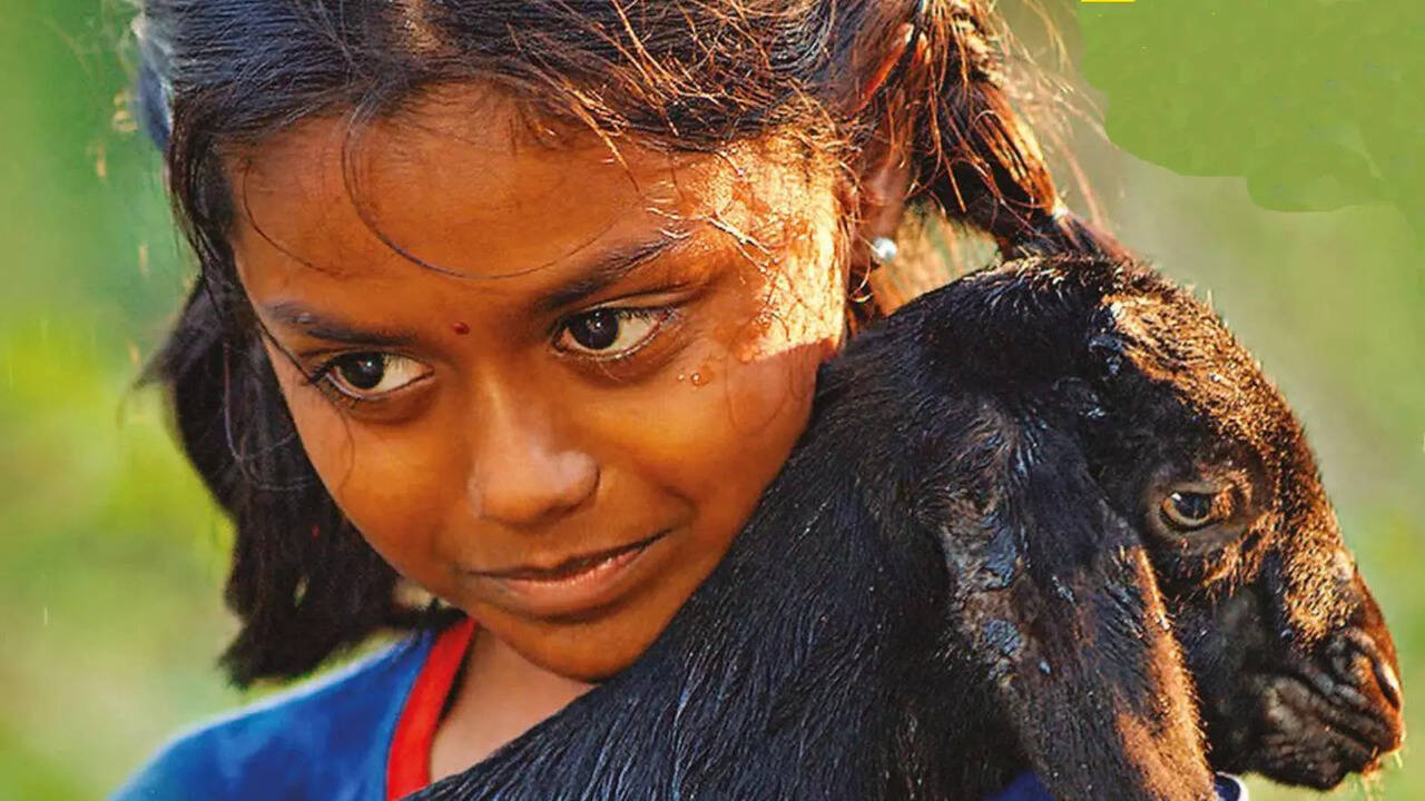 Bujji At Anupatti Review A Simple But Heartwarming Tale Of Kids And Kindness