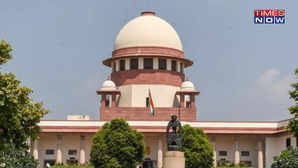 SC To Hear Plea For Re-Polling In 45 Booths In Bihars Munger LS Seat Alleging Large-Scale Rigging