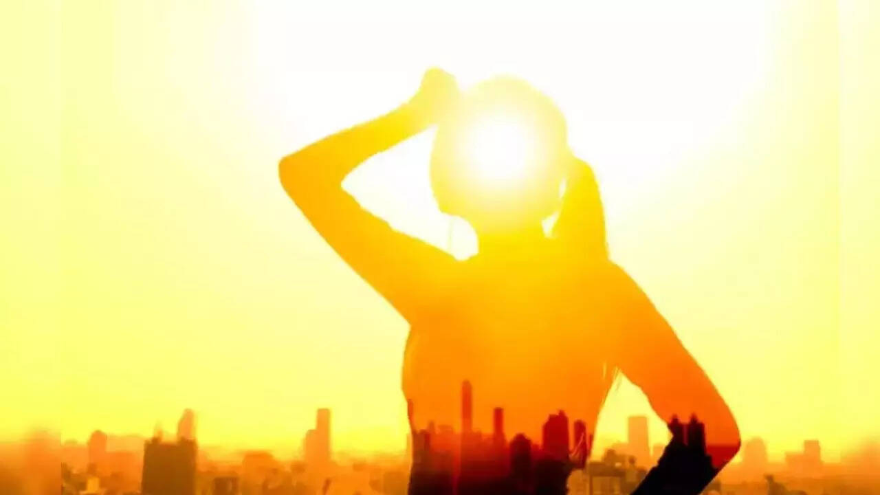  ஒரே நாளில் 61 பேர் பலி.. கோடையில் தேர்தல் கூடாது - ராமதாஸ் வலியுறுத்தல் 