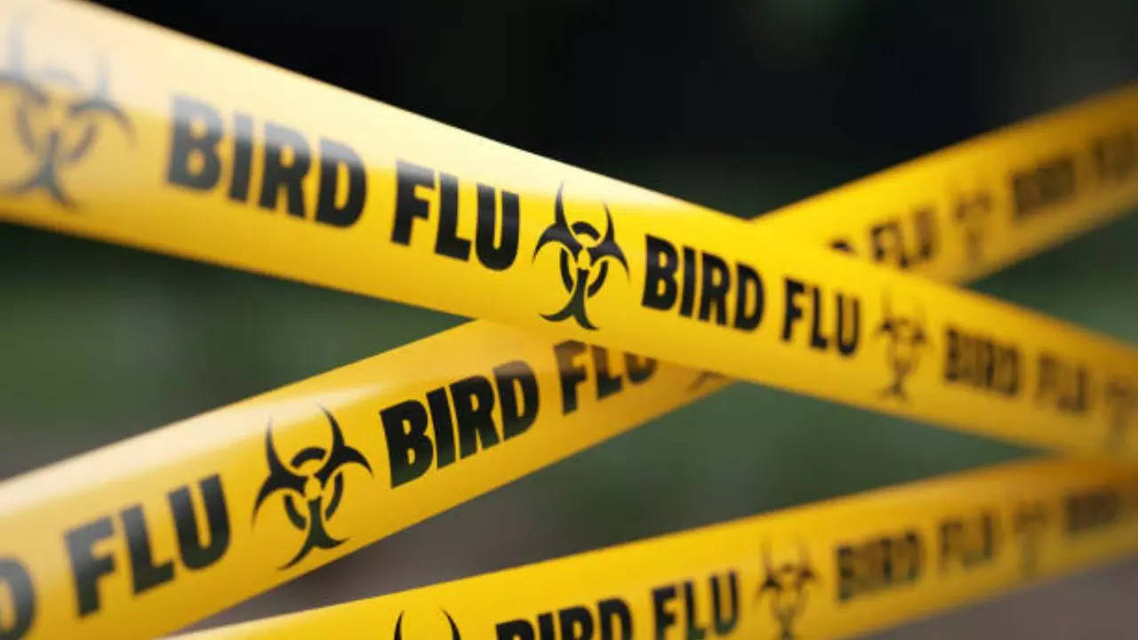 Bird flu advisory