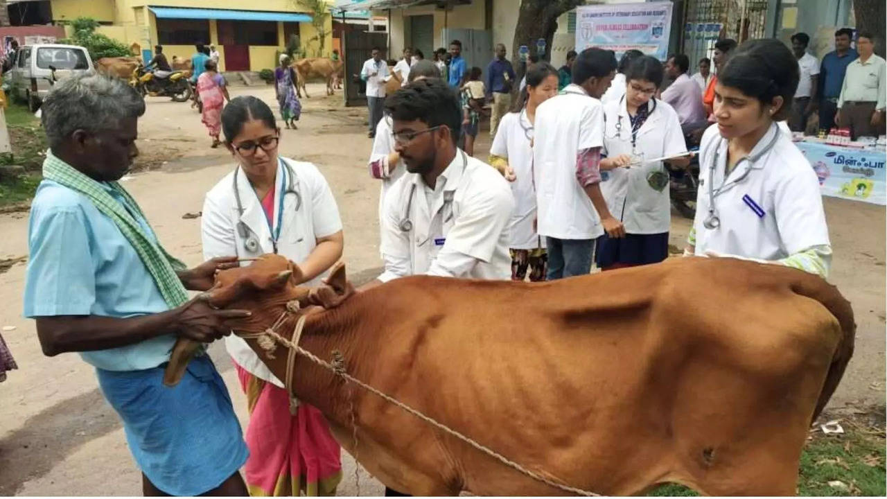 application opens for bsc veterinary science animal husbandry courses june 3 full details