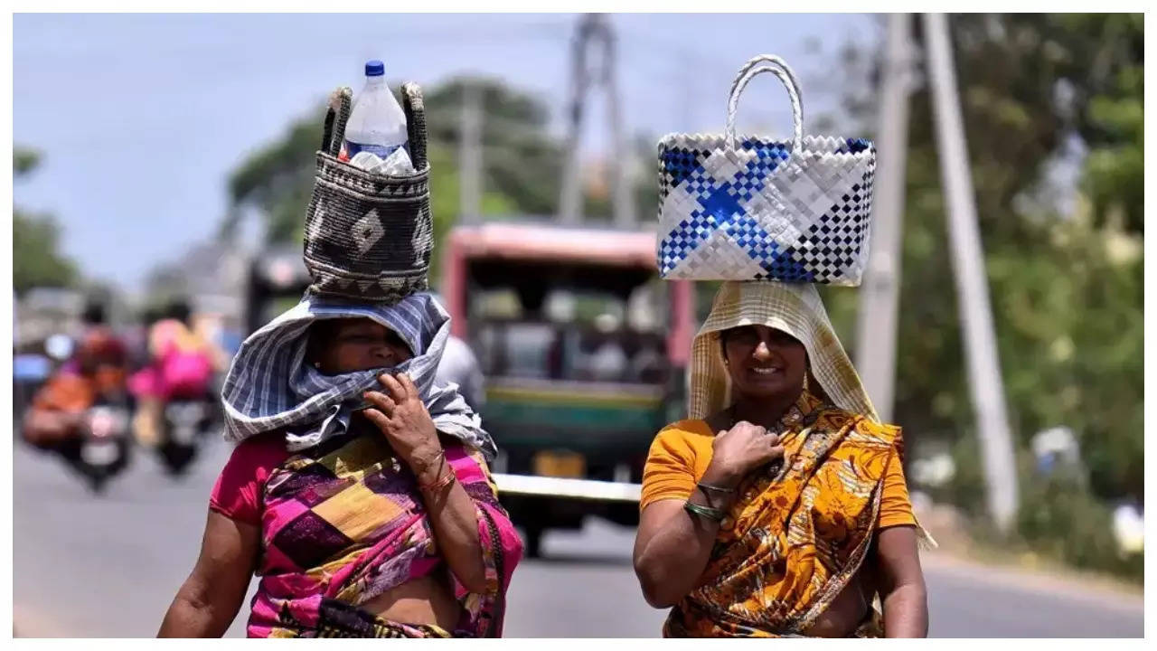 delhi heatwave pushes human endurance: why this is a cause of concern for other nations?