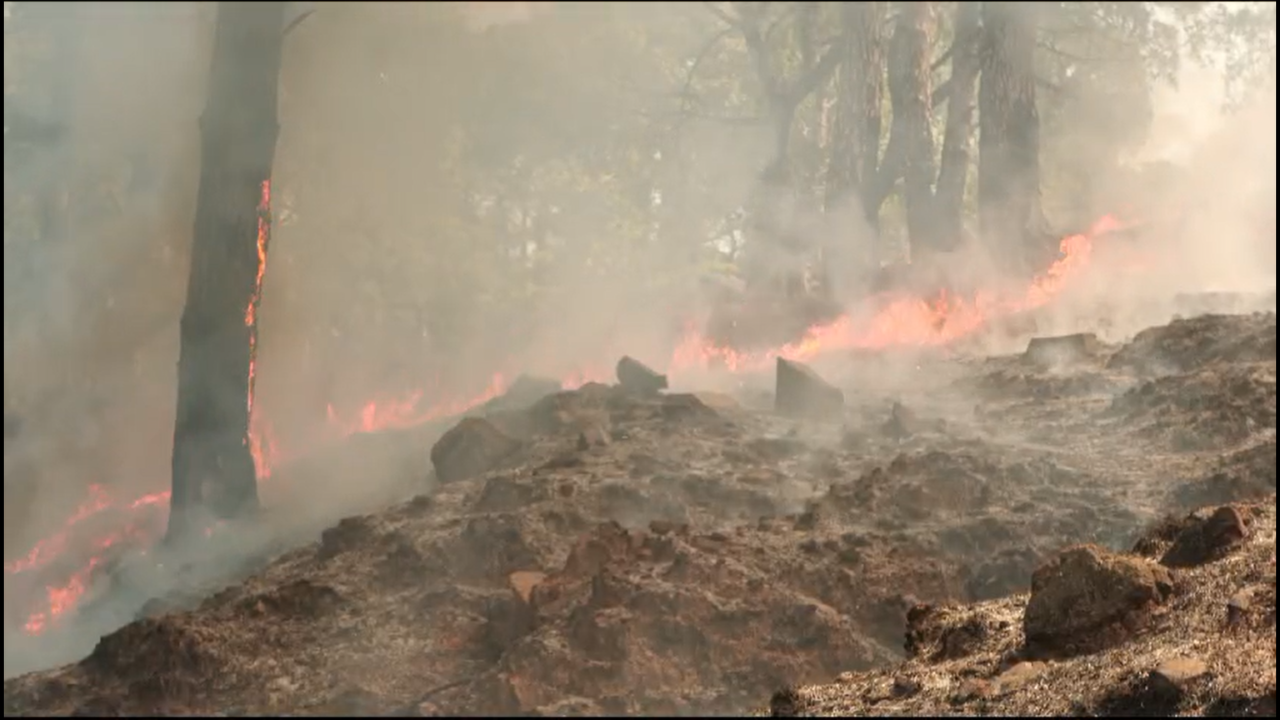 Major Forest Fires Rage In Gangera Hills, J&K | VIDEO​