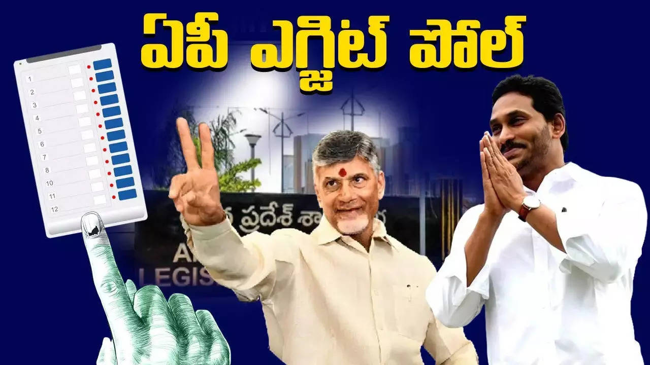 AP Exit Polls