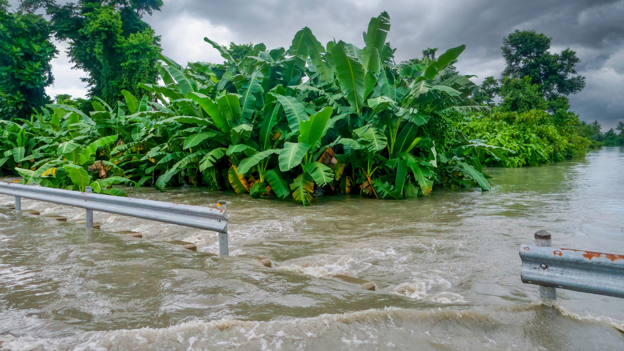 Kochi Rains