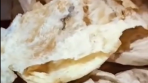 Dead Lizard Found in Chhole Bhature in Delhis Jahangirpuri Sparks Calls for Street Food Ban