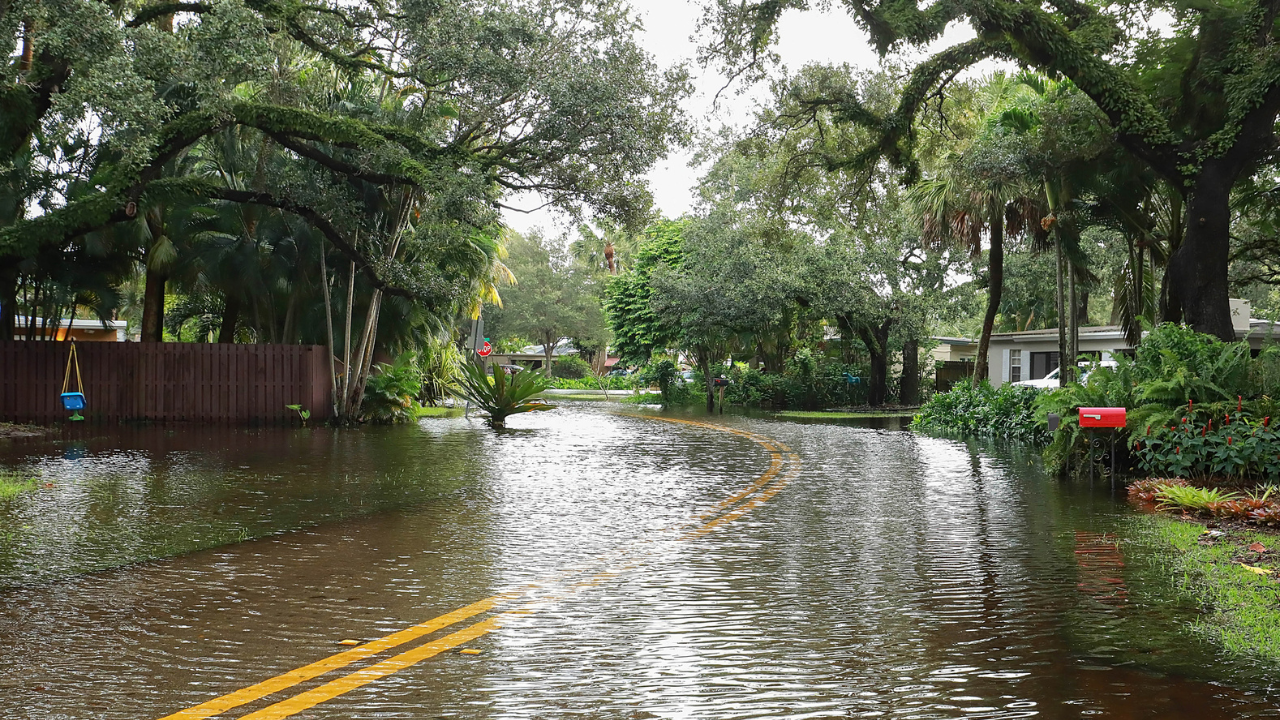 WAterlogged (istock)