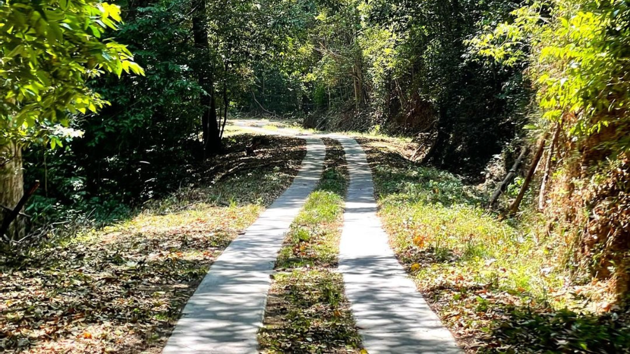 Your Safari Guide To Silent Valley National Park, Image Credit - Instagram