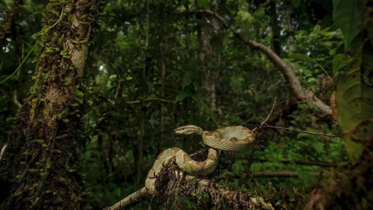 Ntangki National Park, Image Credit - Instagram