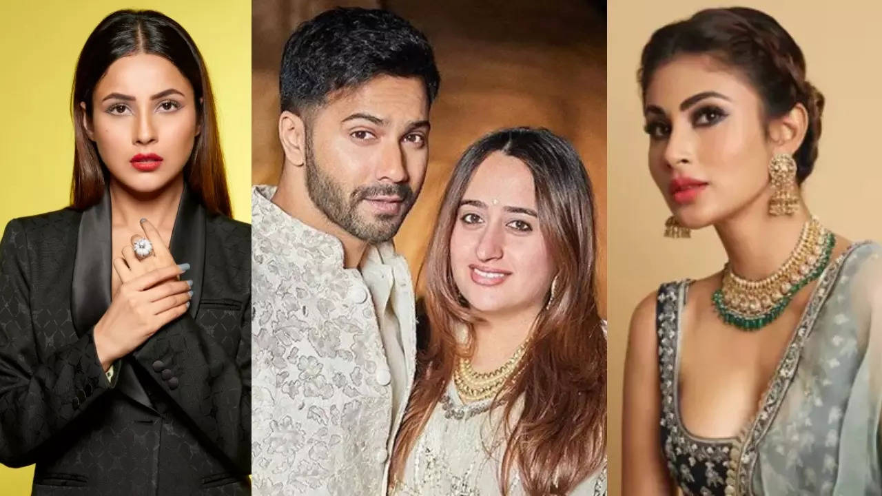 Varun Dhawan-Natasha Dalal Welcome Baby Girl: Shehnaaz Gill, Mouni Roy And Other TV Celebs Send Blessings