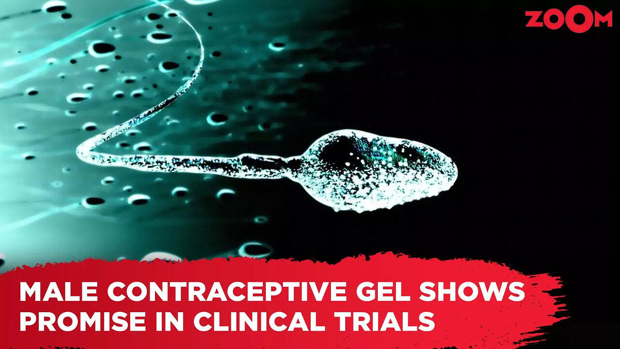 Male contraceptive gel shows promise in clinical trials | Times Now